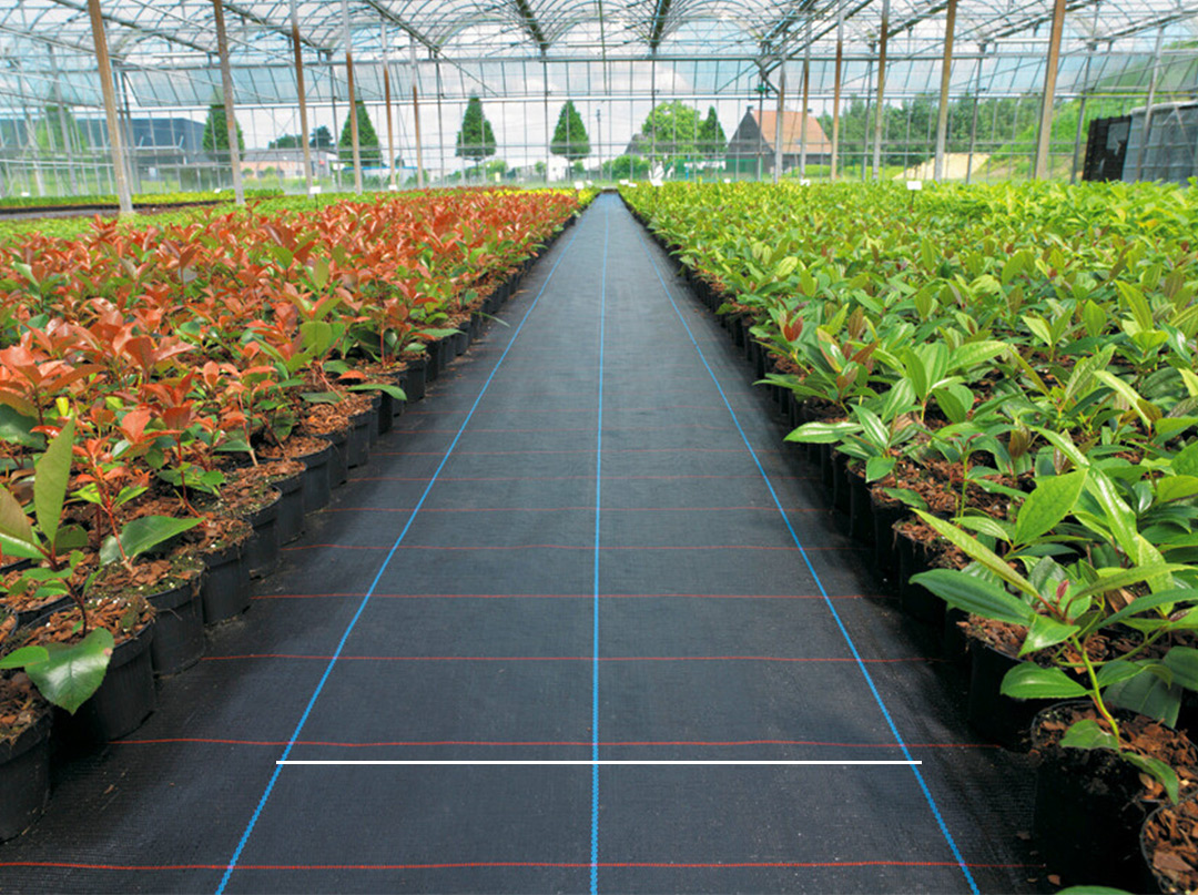 PP Fabric Agricultural Black Plastic Ground Cover Weed Control Mat